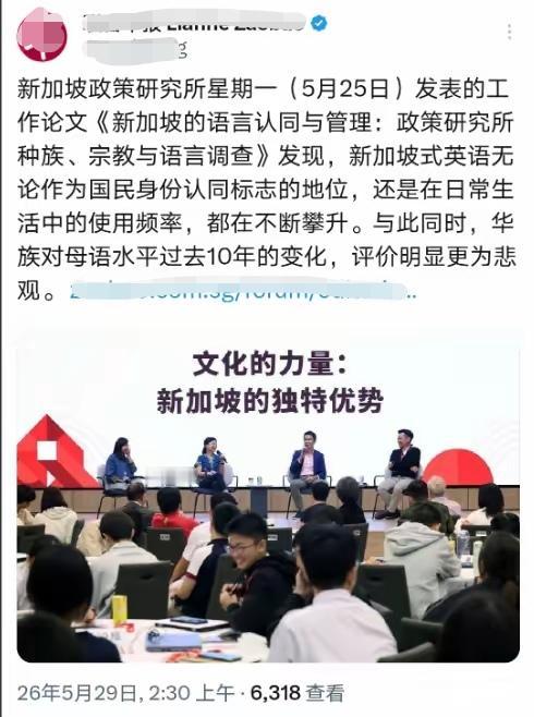 新加坡媒体为新加坡式英语（Singlish）的更多使用而窃喜。全世界越来越多国