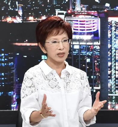 洪秀柱糊涂了吧！洪秀柱的提案用了蓝色封面。和平协议四个字下面划着浅浅的