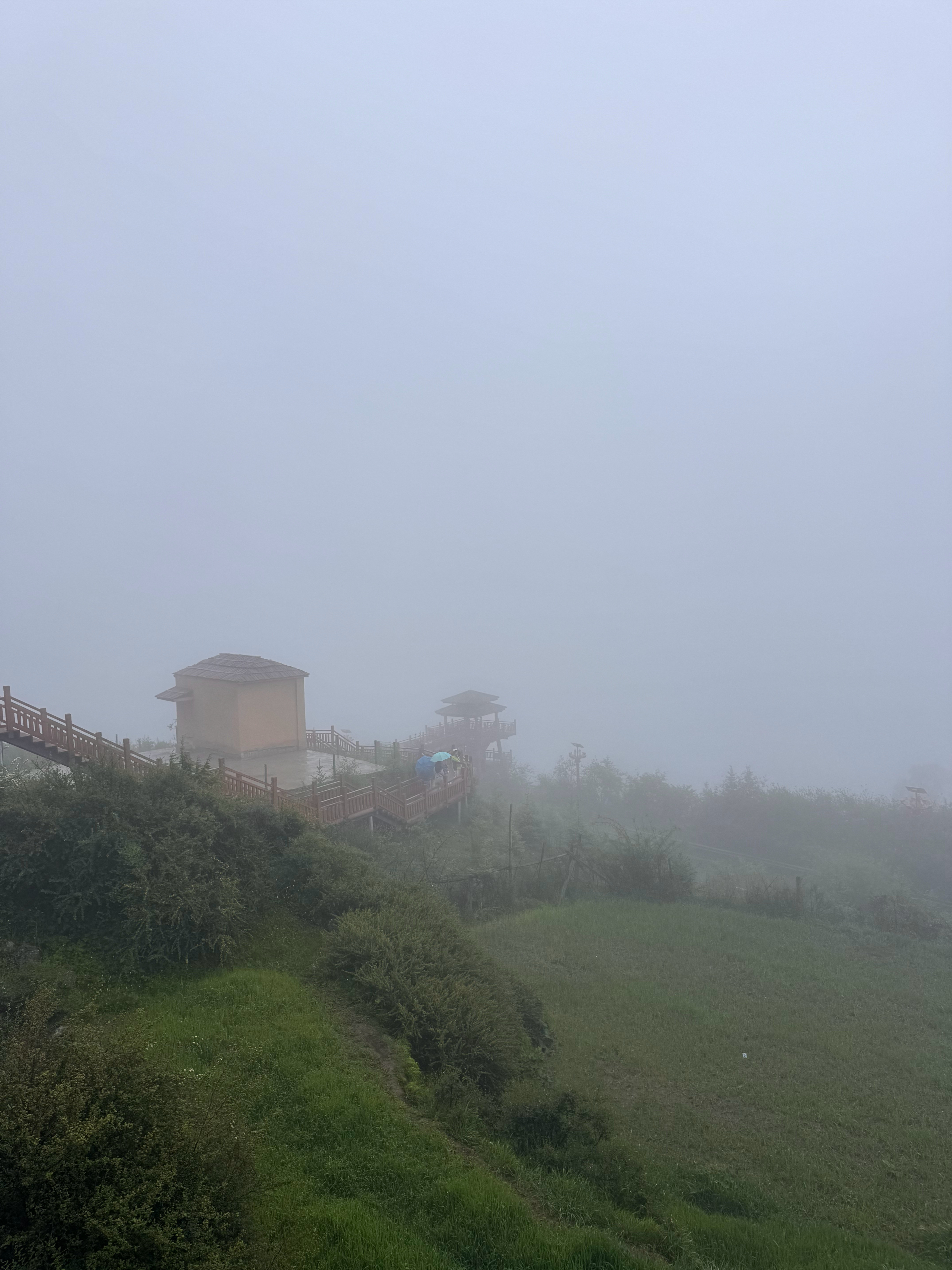我旅游运甘南·达日观景台