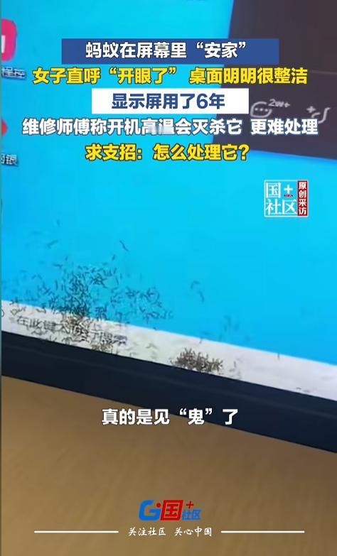 “开眼了！”7月21日，云南临沧，一女子上班打开电脑，突然发现显示器里钻进去了蚂