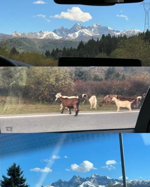 请问九寨沟-黄龙的路上看见的雪山叫什么?九寨沟-黄龙九寨站走的🌈大九寨旅游