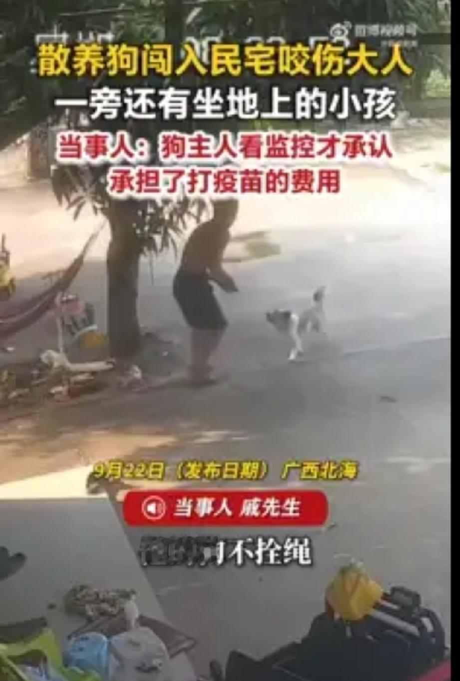 散养狗咬人主人看监控前拒不认！近日，广西北海，戚先生在家中院子遭遇闯入的散养狗袭