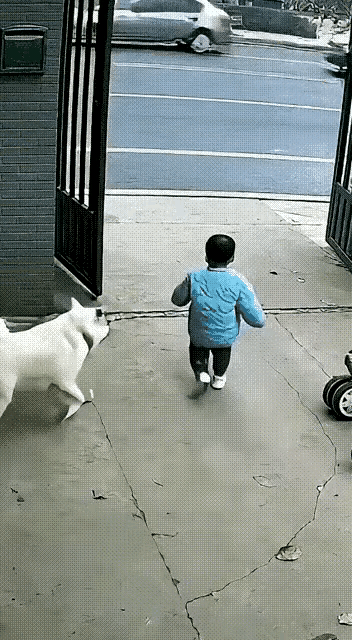 就这一瞬间，看得人鼻子发酸小朋友一个劲往大门口跑，门外就是车来车往的大马路