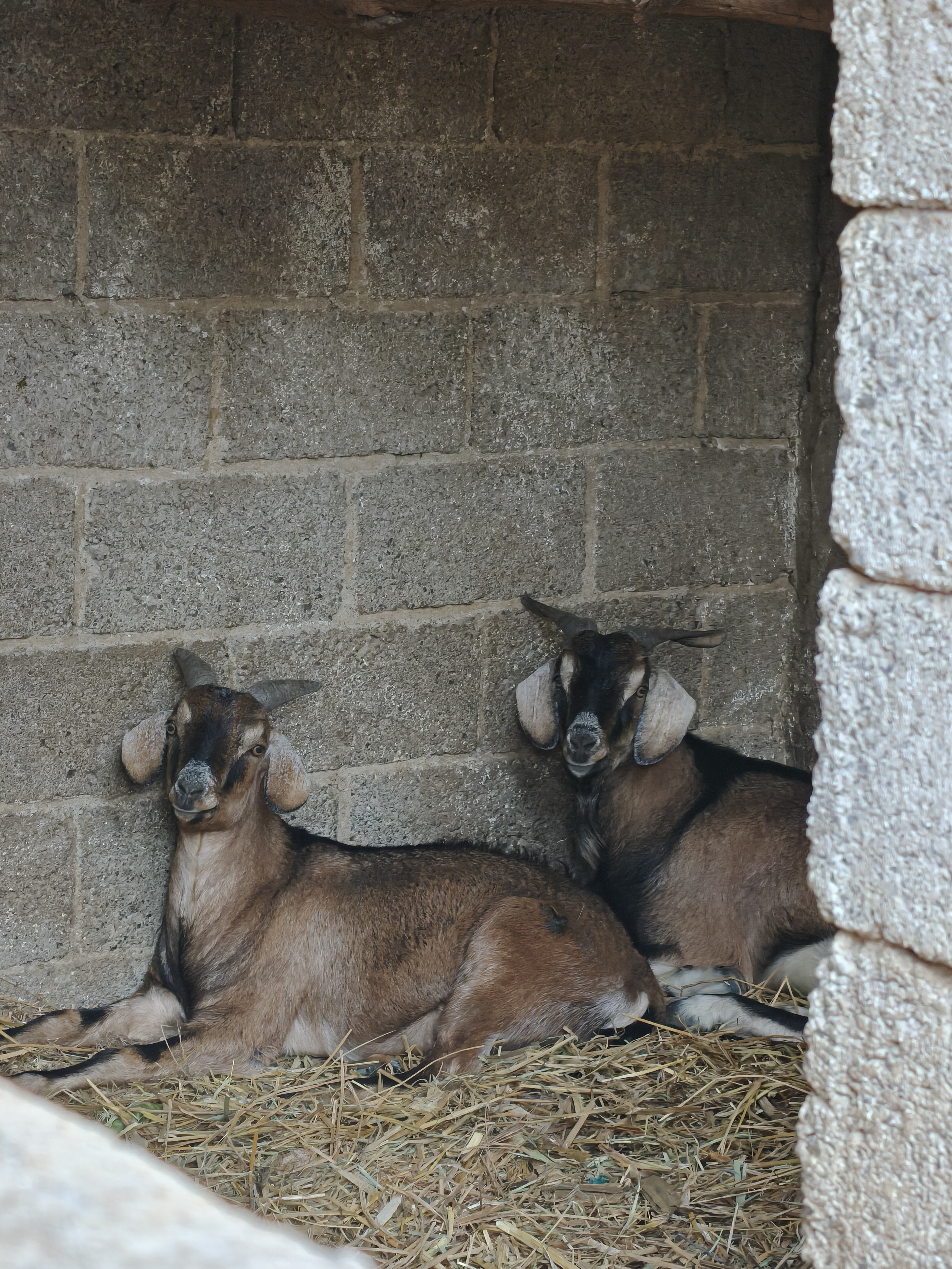 洗车吃肉喝香槟