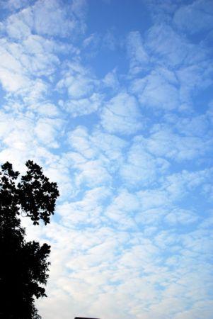 第一波冷空气在19日至21日登场，西北、内蒙古、东北最先迎来降温。 这股冷空