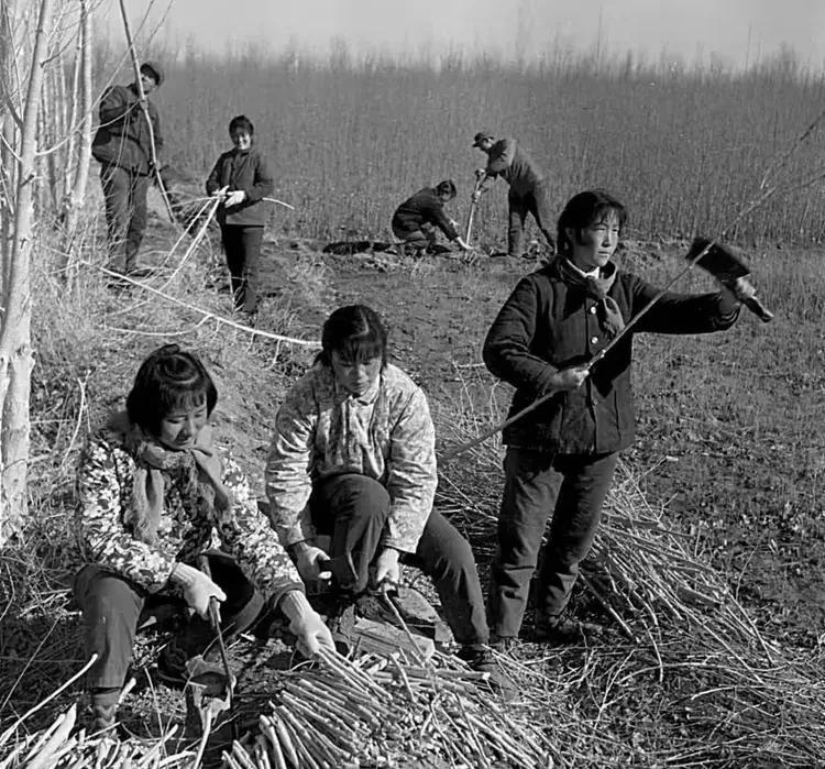 【老照片】1975年,甘肃酒泉8120部队子弟知青在内蒙古自治区阿拉善盟额济纳旗