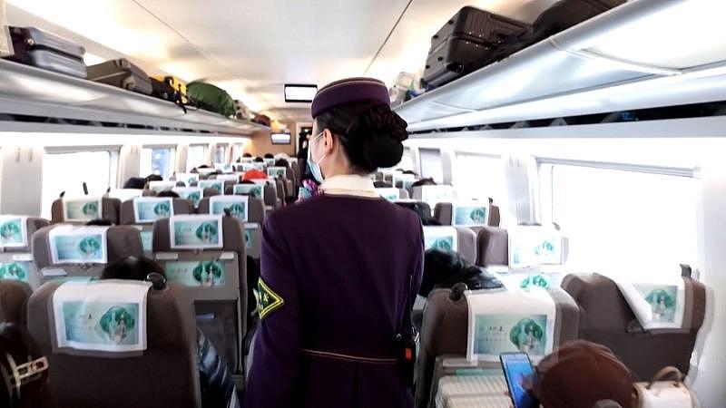 高铁惊魂女老板百万珠宝行李箱凭空消失乘警紧急拦截真相让人意外朋友