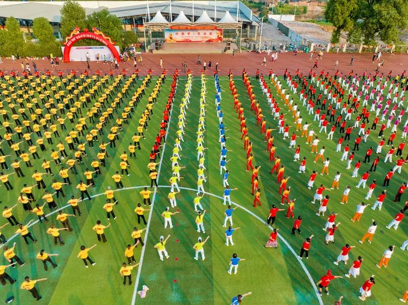 我在苏州园区斜塘老街旁住了几年，一直觉得园区的规划极为规整。大道的绿化、中道的路