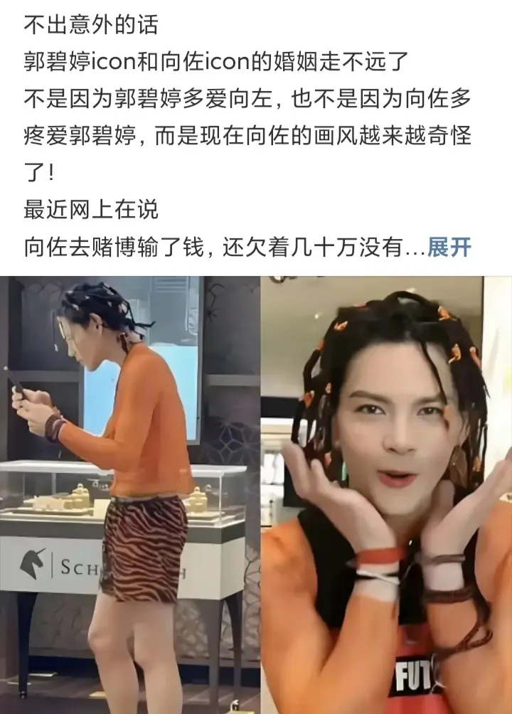 不出意外的话，郭碧婷和向佐的婚姻是走不长的