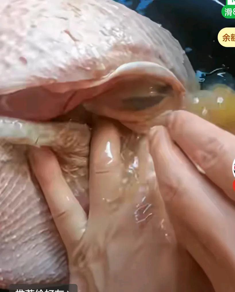 女子买了一只近10斤的鸭子，杀了之后，肚子里竟流出两斤的水，这是注水鸭，还是有