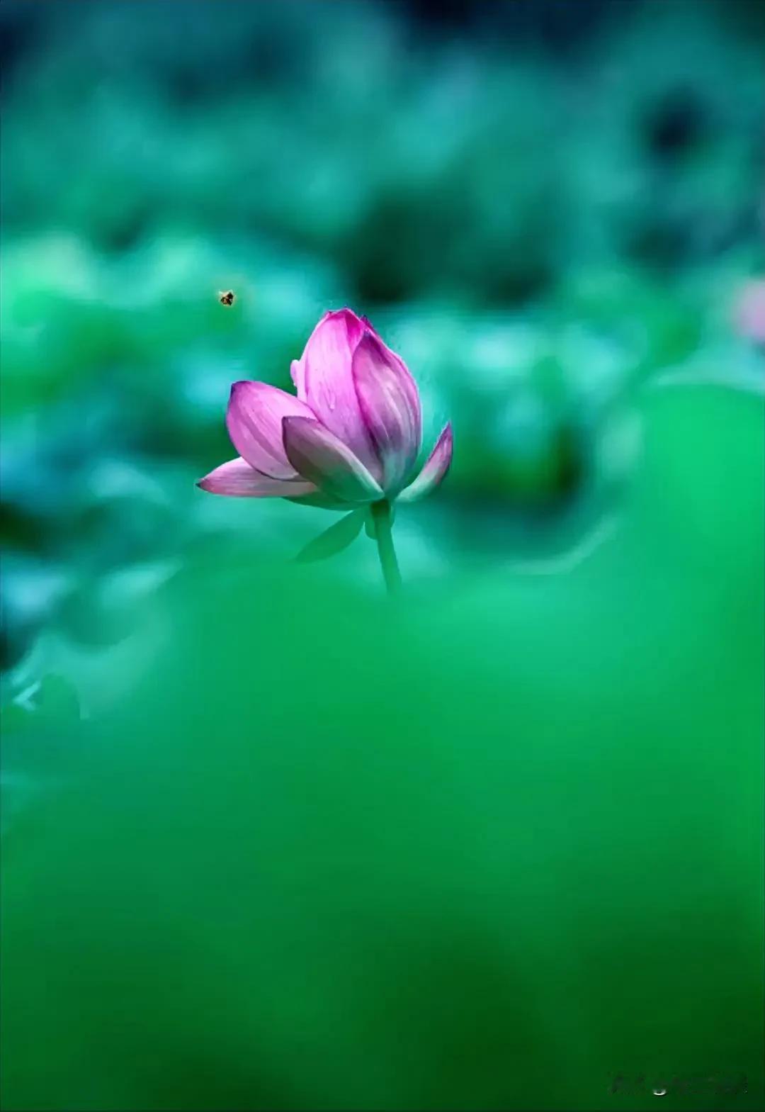 退休后，最愚蠢的4种行为，希望你一样都不占。第一，多管闲事，介入别人家的是非