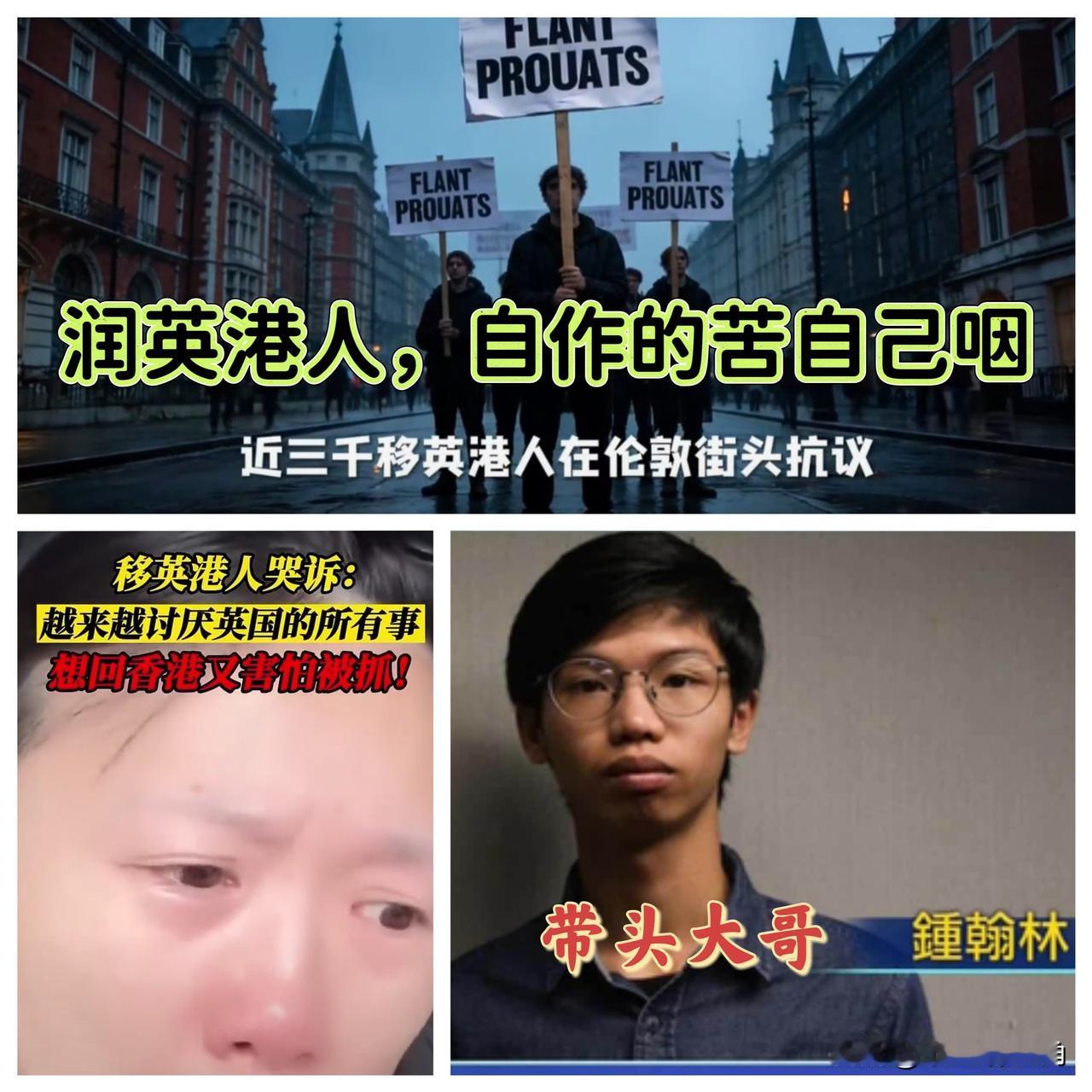 看着这帮润英港人在英国街头举着牌子，我是真没憋住笑出声来！当初那是怎么走的？