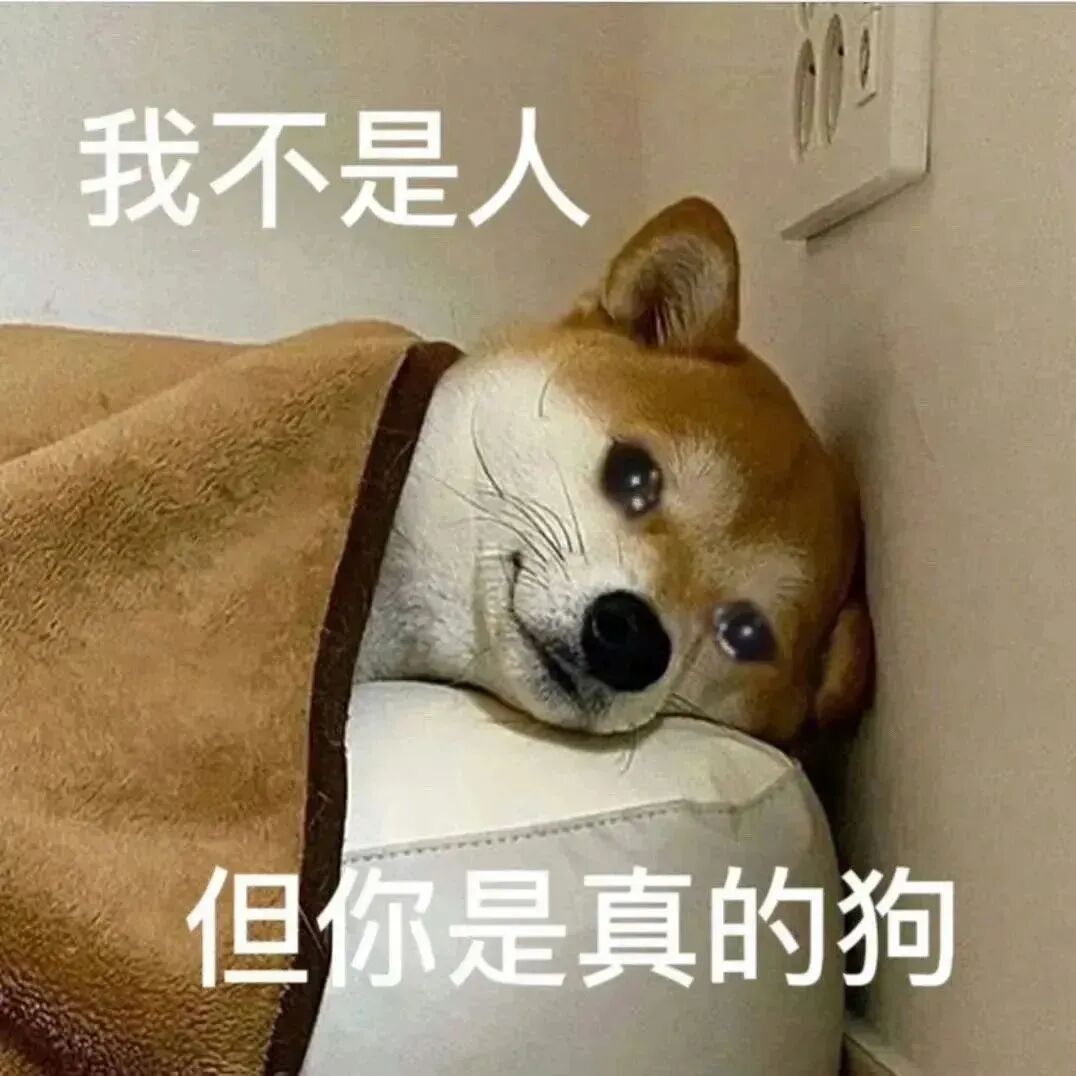 领导画的饼，原来是PPT里的饼状图