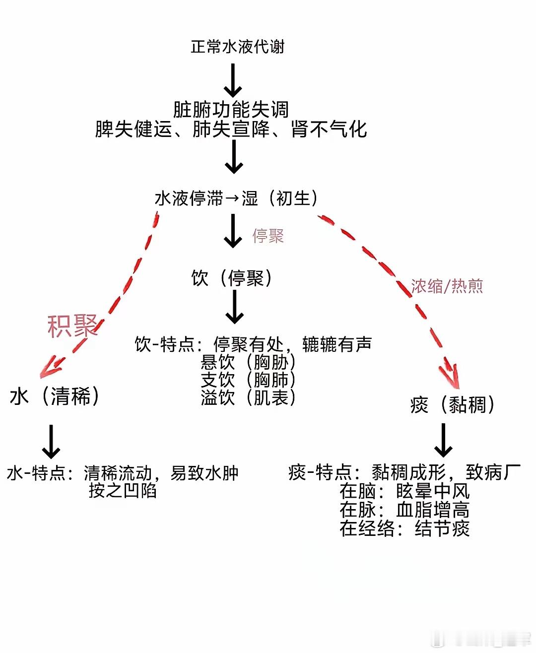 中医里面的气化你读懂它，能看懂多数身体问题。中医里的气化，说透了就像家里煮水，藏