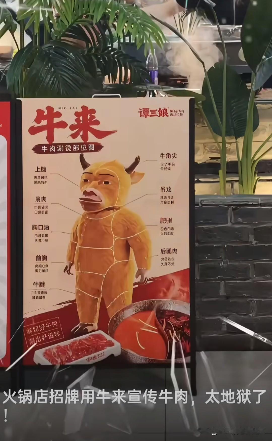 网友拍到，火锅店用牛来做宣传！