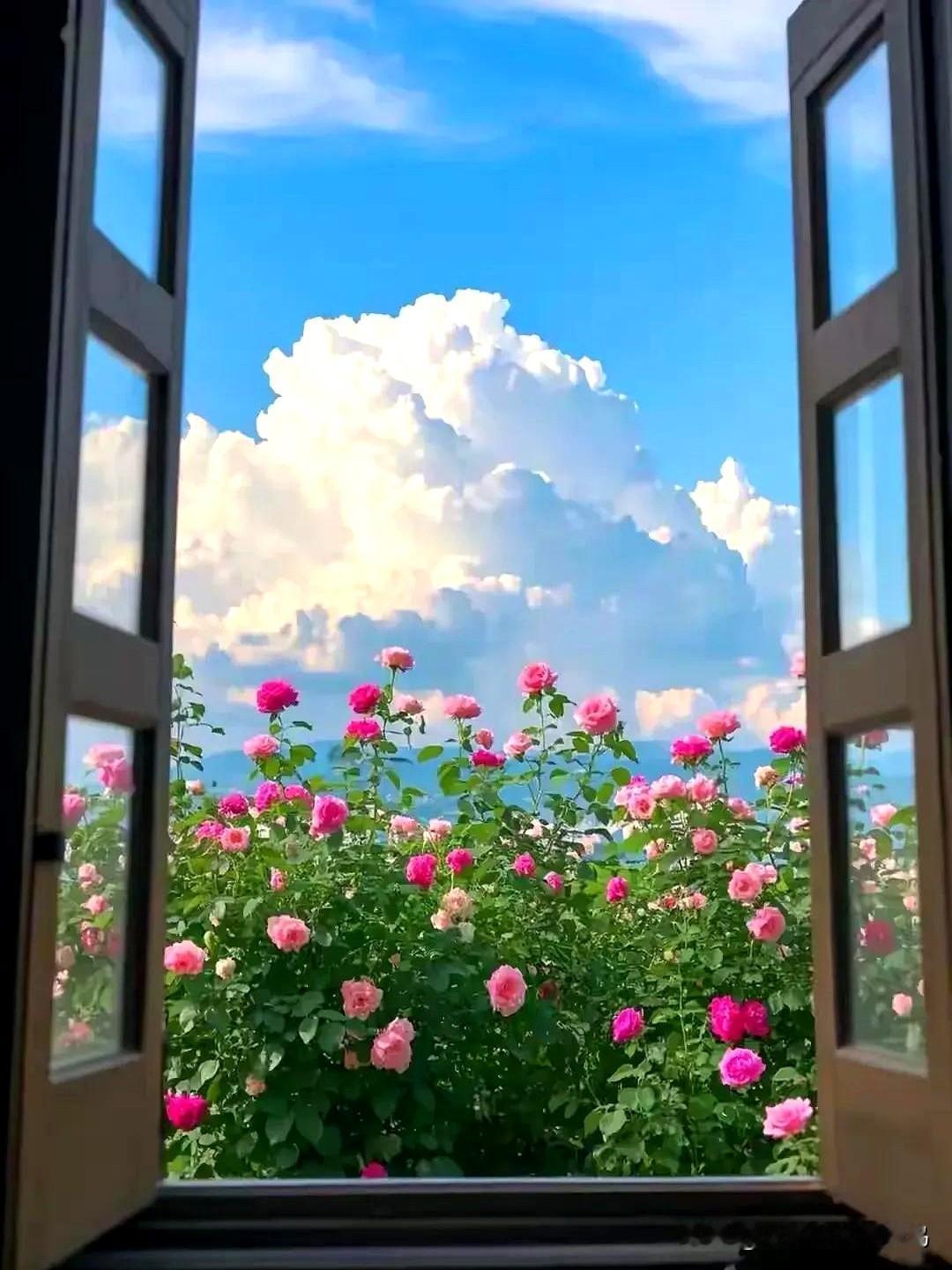 一位老中医说：“养生的尽头，是情绪稳定。养生并不是吃什么喝什么，养生养的是人