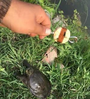 二十多年前，我单位有个姓王的职工，当时是初中毕业顶班进来的，文化程度不高，所以单