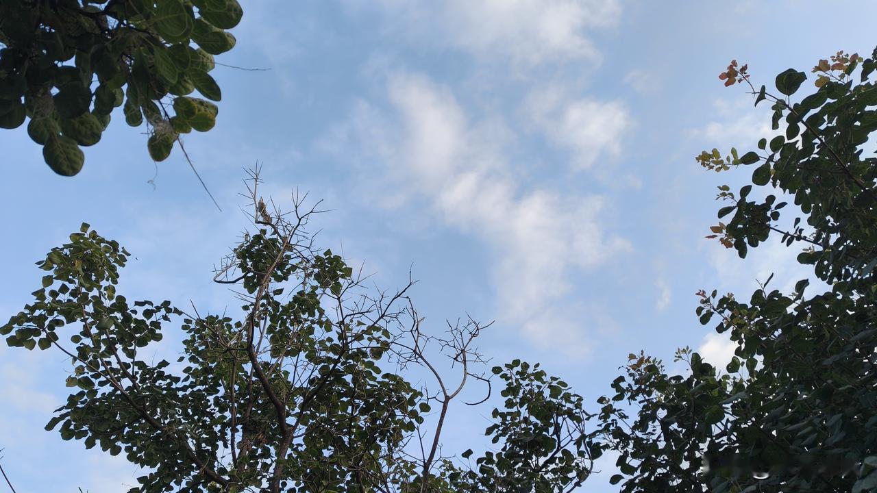 人到中年想翻身，就要守住这10条底线，越早知道越好！人过了半辈子慢慢明白，