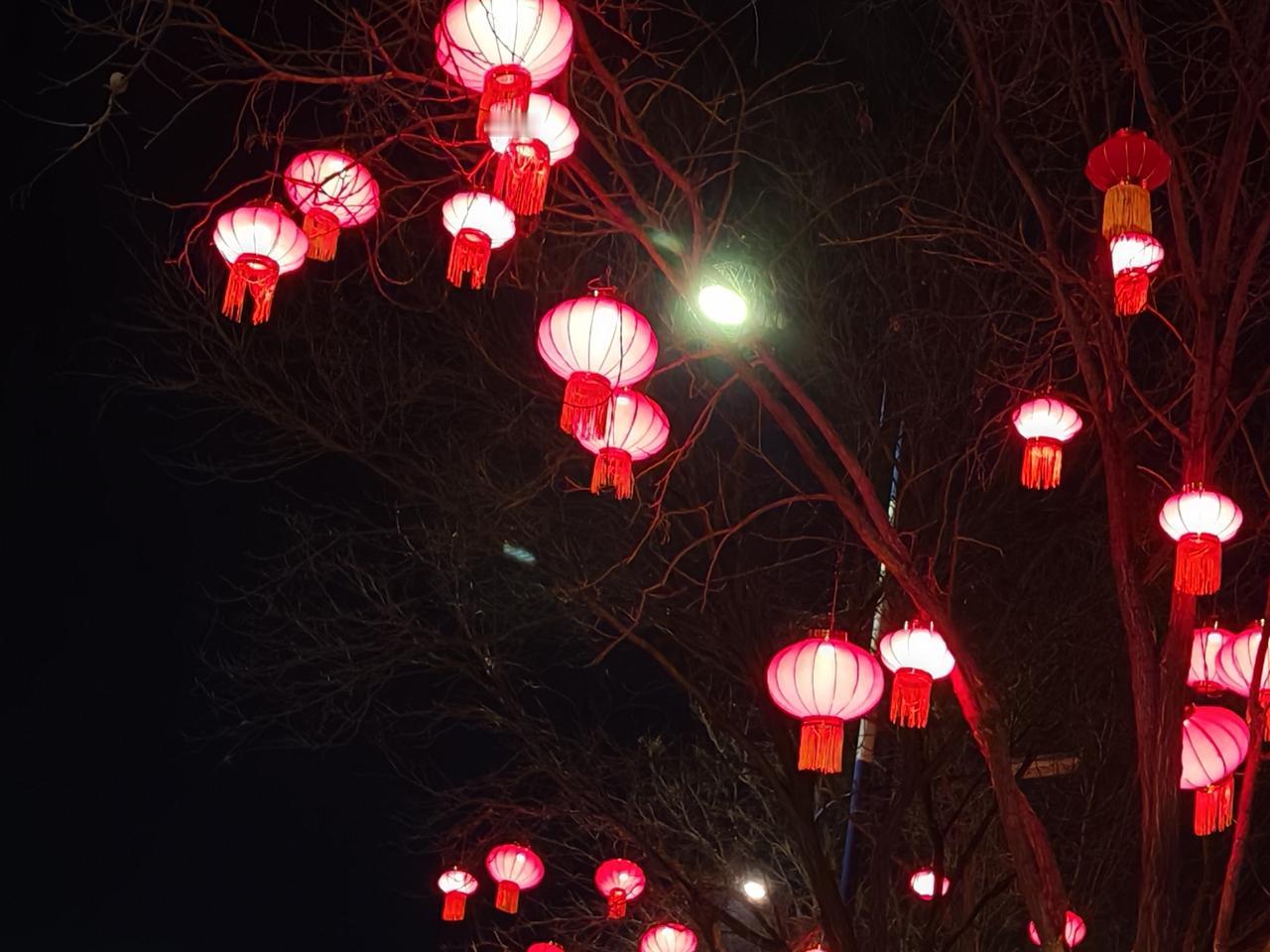 絮絮叨叨，不想再谈论退休的话题了。退了休，在自己看来，没有了奔头，没有了盼头。在