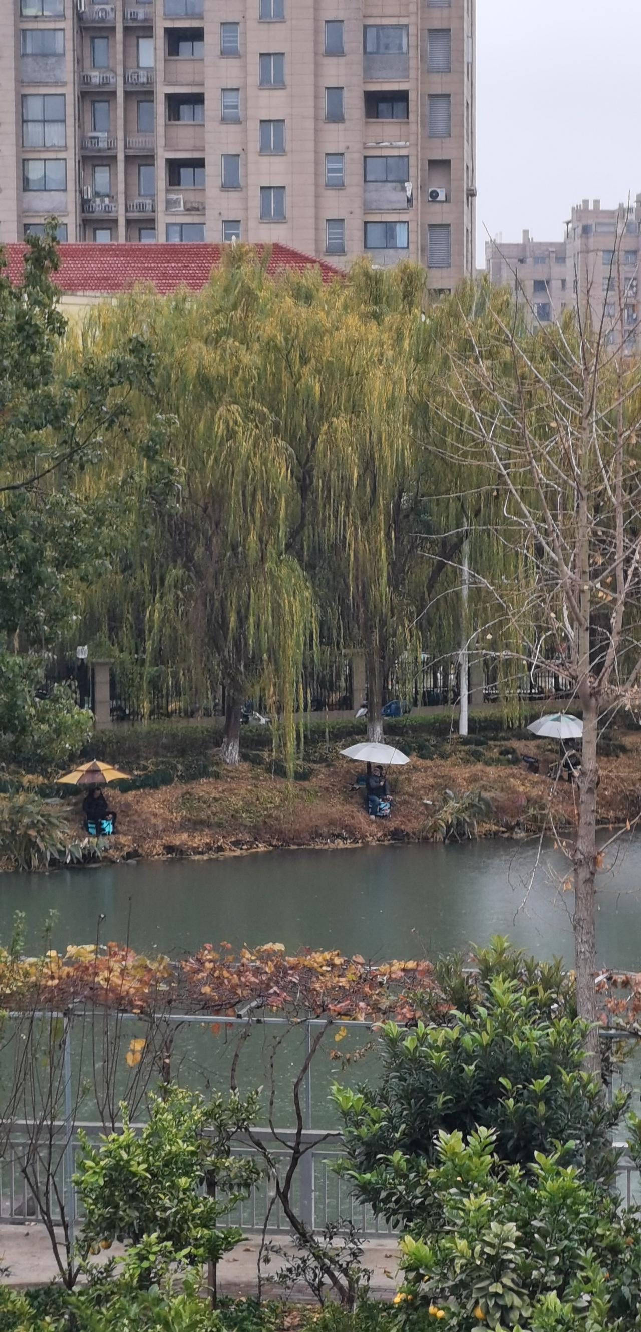 别再问钓鱼佬“今天钓了几条”，真正的问题应该是：他们今天“被钓走”了多少焦虑。