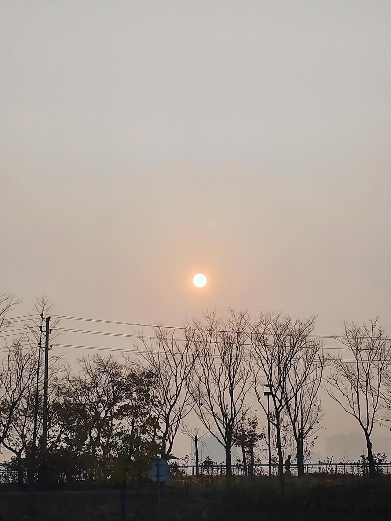 千锤百炼守卤艺，敬畏食材不寻借口很多食客以为一盘卤菜只是简单焯水、丢料下锅