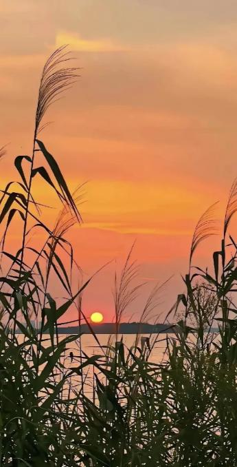 北京协和医院张海敏博士说：“人根本不用养老，只要能吃、能走，能动、能自理，