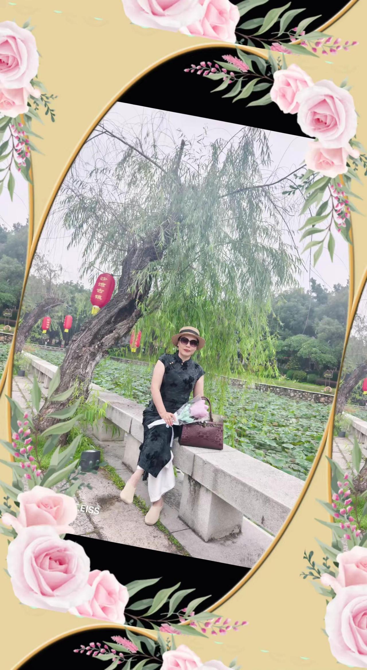 荷花池畔美景如画