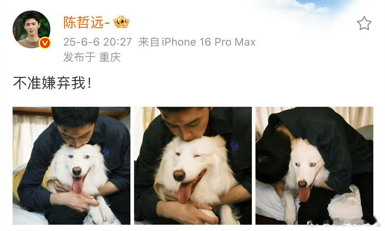 陈哲远小狗都会wink你不会我破防了，因为我真的不会，刚刚又试了一下，脸都抽筋了