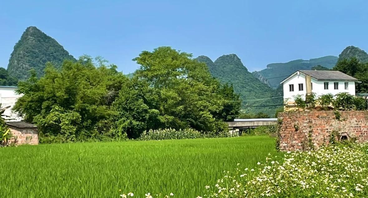 看哭了！59岁丈夫病危，2万手术费就能活命，可妻子却含泪跟医生说：“不治了，我们