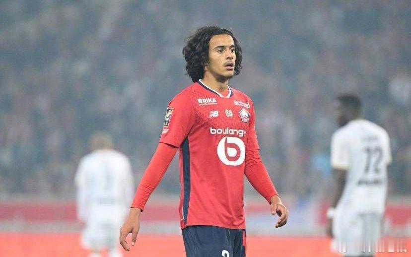 【一刀砍几棵树】德国天空体育：布莱顿的巴莱巴，曼联的梅努，里尔的布阿迪，多特蒙德