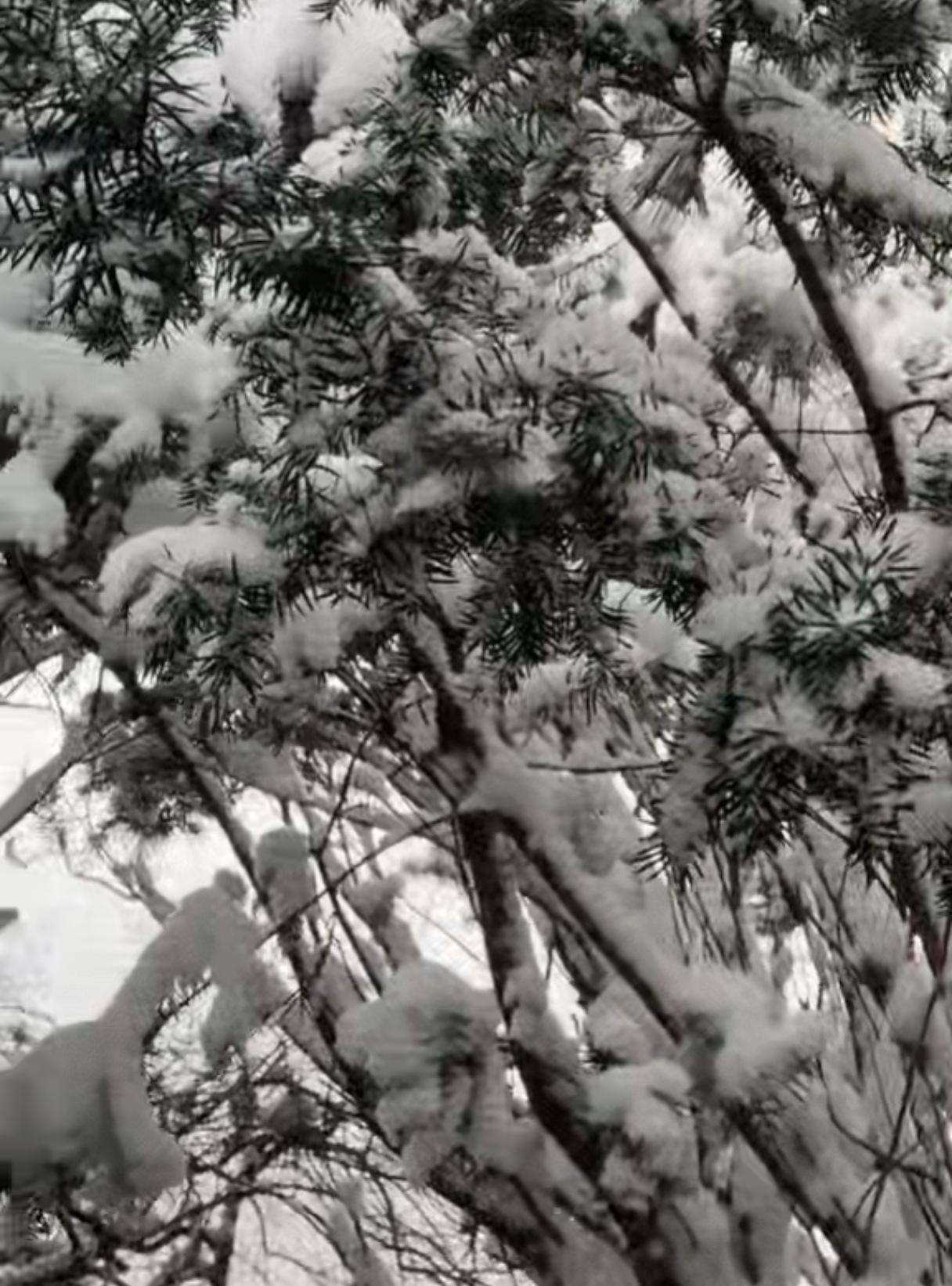 不知道大家还记得元宇宙不，那当时炒的可飞上天了，说是人类的未来，当时还把2021