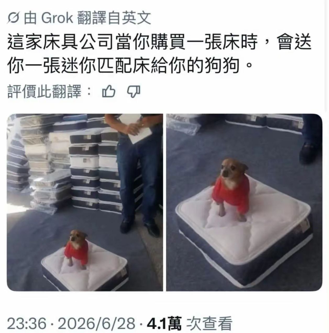 狗子就在那里无助的看着