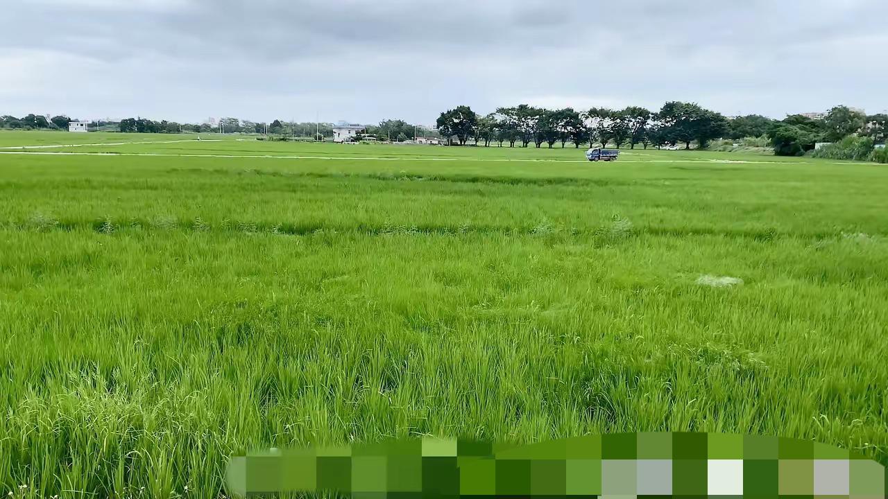 2006年，通过法规，艾滋病毒感染者的个人信息不被随便随意公开，当时累计报告艾滋