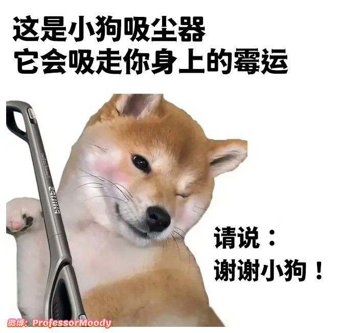 谢谢小狗！meme​​​