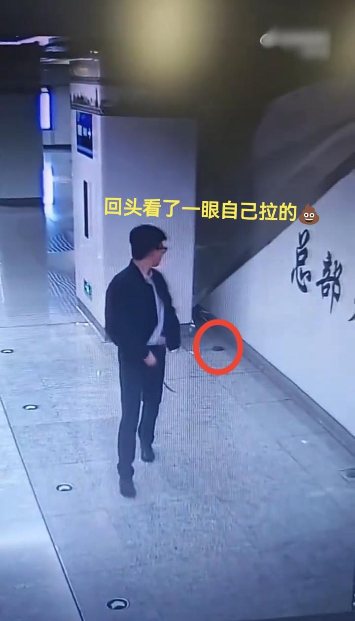 地铁大便哥最新情况据说已经被公司辞退我就说，大哥你不能忍一会吗地铁站内很多