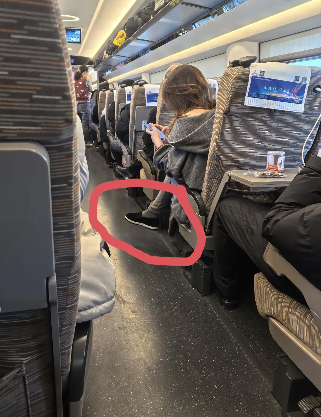 在高铁上看到这一幕，真的被惊艳到了！前排的小姐姐一身灰色大衣，气质高级，本以为