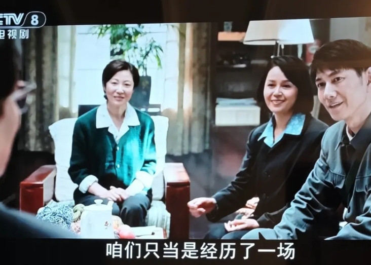 昨晚闲来没事，看了会儿《依依向北风》。单看这剧名，颇具诗意，取自“回首金陵岸，依