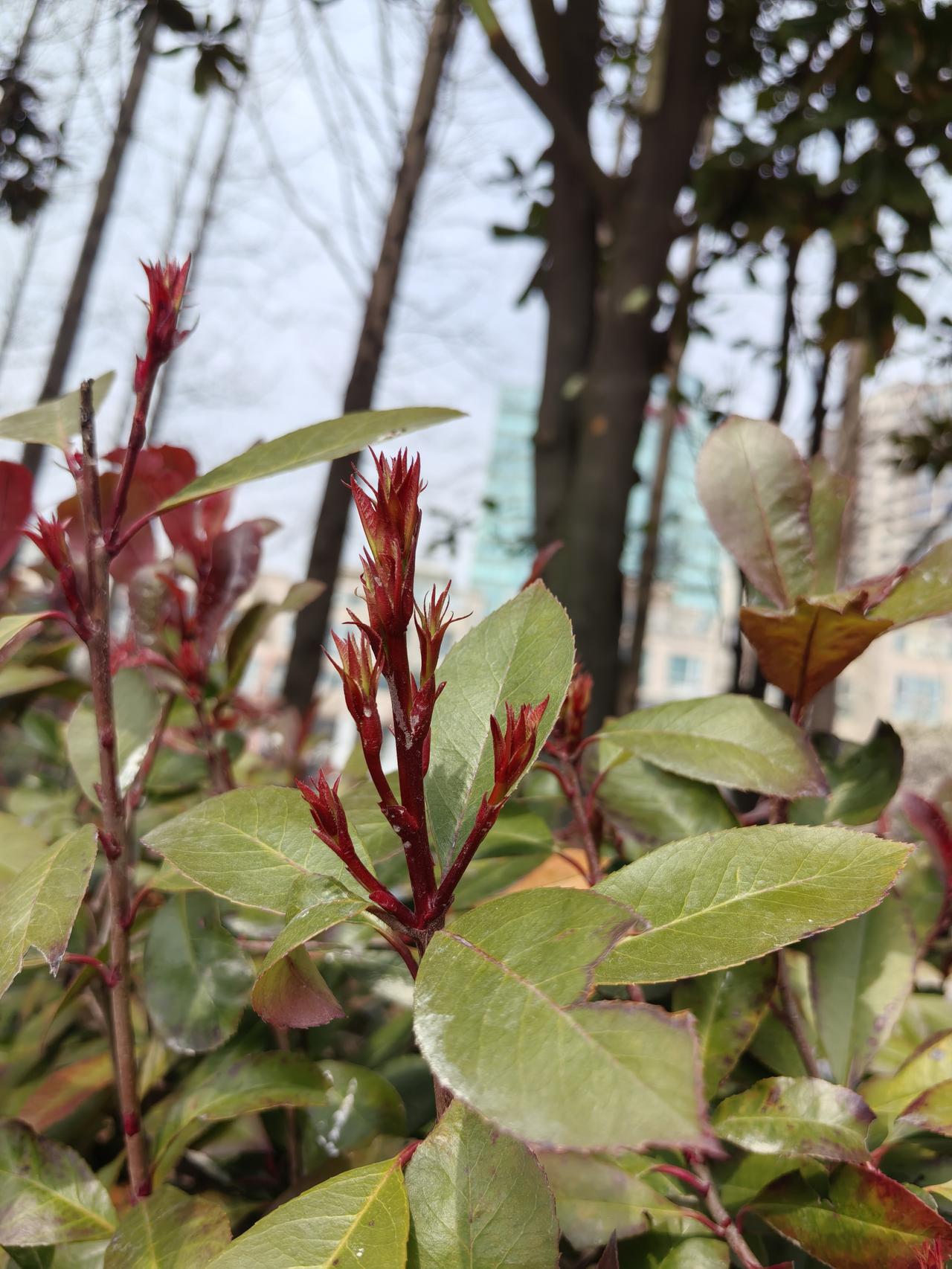 今天去银行，发现去银行现场办业务的全是老人。因为银行卡到期了决定去银行换一张