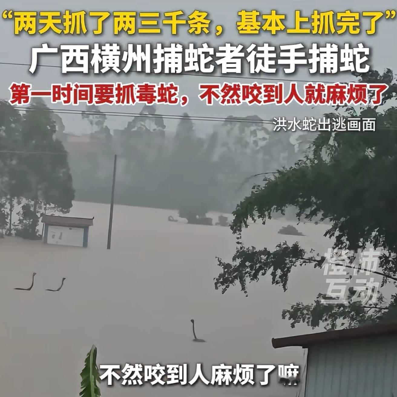 做媒体的要有基本知识和辨别能力，画面中是鸵鸟。