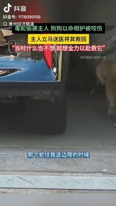 “真成精了？”9月23日，河北唐山，一女子发现有蛇朝她爬去时，慌乱不已，没等女子
