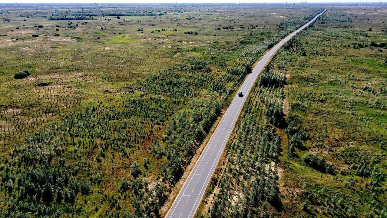 把中国的数据加进去，全球绿化在增长；一旦把中国剔除，全球森林实际上还在严重减少，