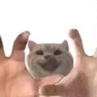 一觉醒来我儿有外务了啊啊啊啊啊