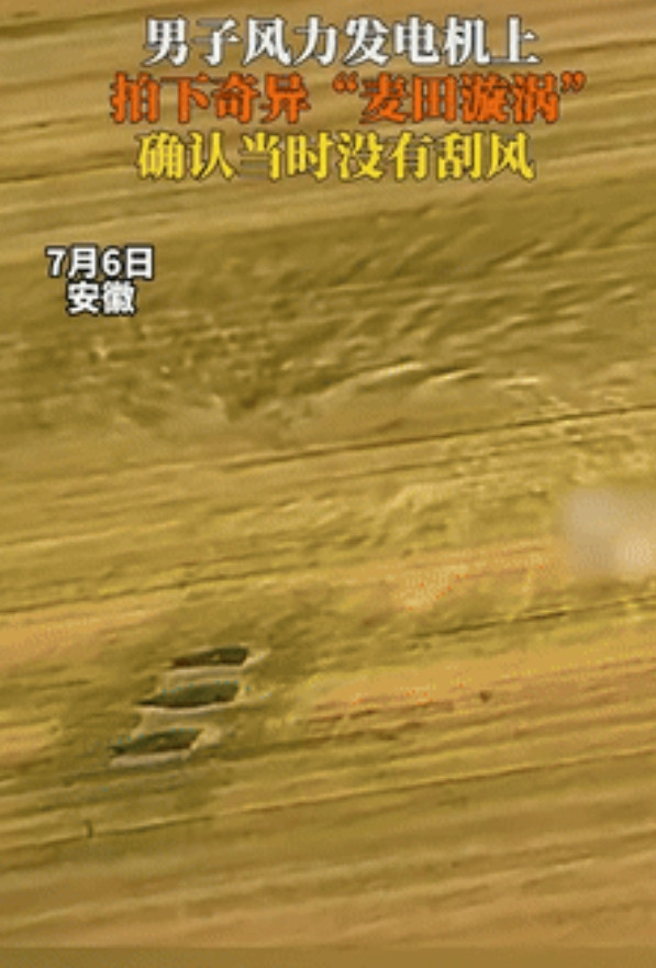 “大自然给我们上了一课！”安徽，一男子在风力发电机上工作时，突然发现脚下的麦地里