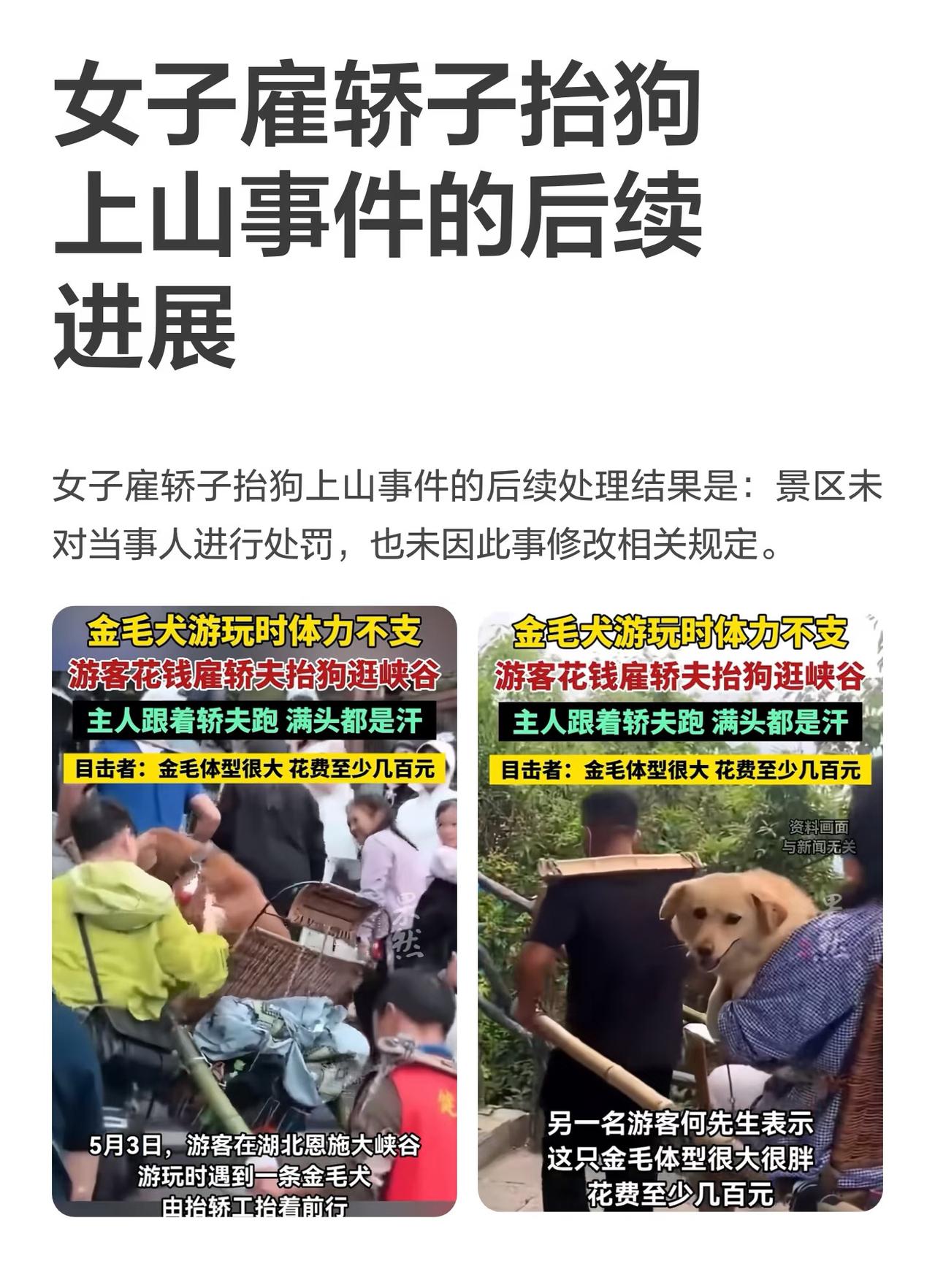 女子景区雇轿夫抬狗上山，轿夫同意，主人同意，网友：不行，我不同意！
