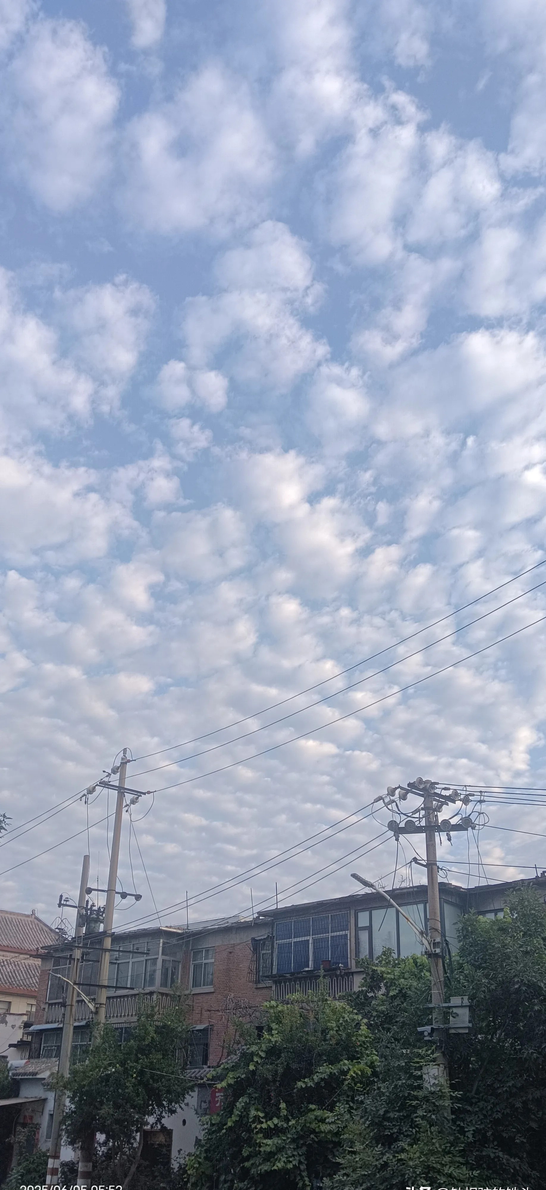 東北七月大地震，日本恐斷兩半天要塌了！七月十六前，東北方