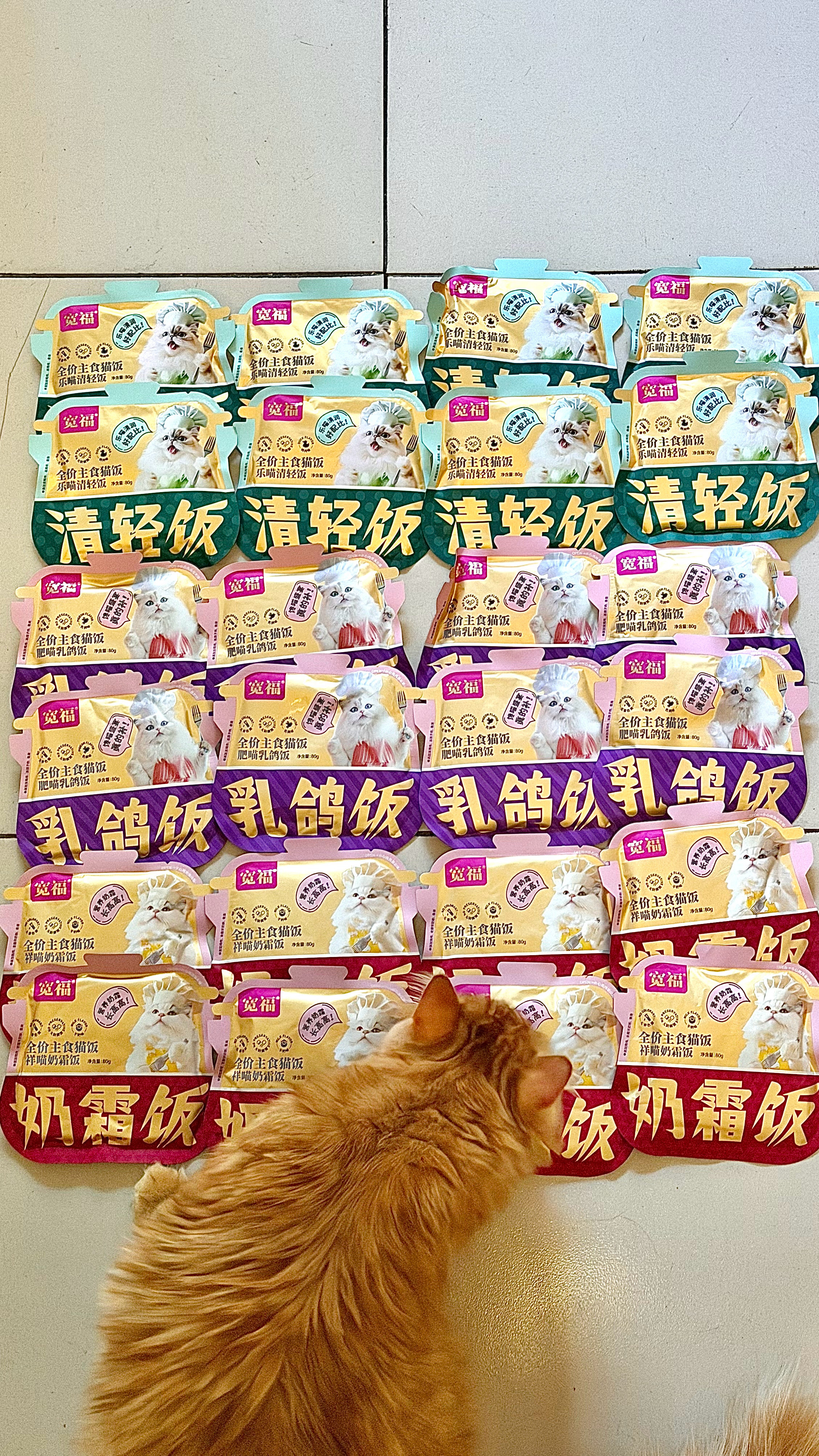 正是因为懂得世间疾苦所以才愿意出手感谢另一位猫猫侠的空投！