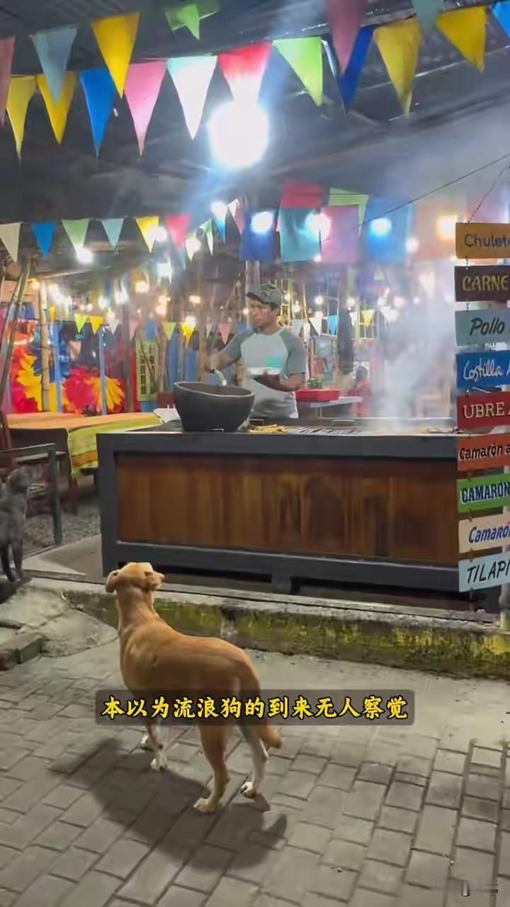 泪目了！一位小哥哥开了一个快餐店，这天夜里，他见客人不是很多就准备自己弄到吃的，