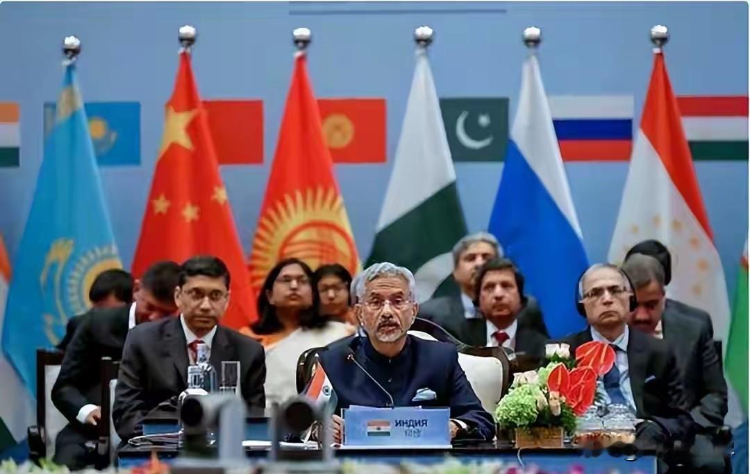 印度外交奇葩操作！赖在国际组织不干活，就为了方便给中国添堵？印度尼赫鲁大学教