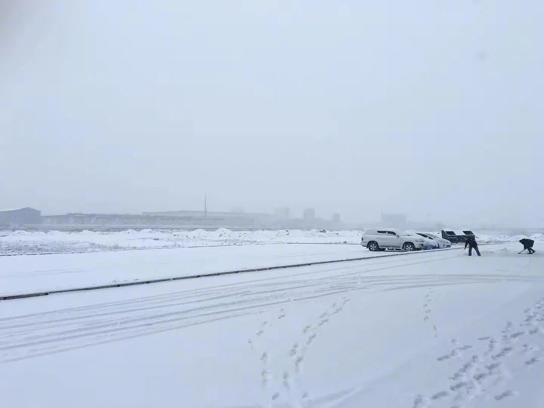 猫友分享：零下30°去外蒙出差赶上大雪天，雪地里的流浪猫崽瑟瑟发抖，差点被乌鸦叼