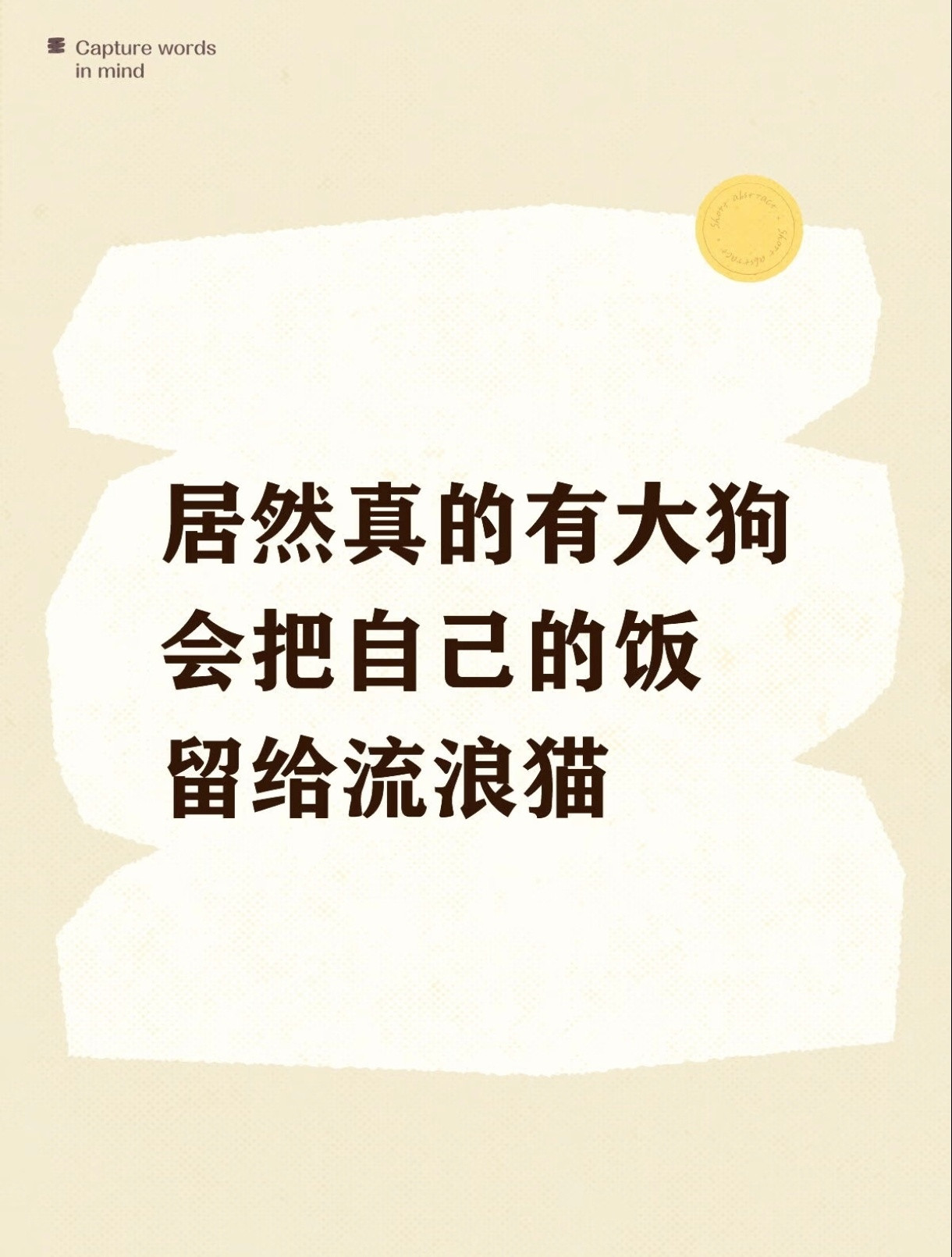 狗狗把自己的饭给流浪猫吃